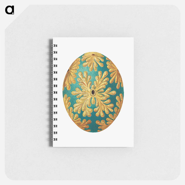 アートメモ帳-Colorful vintage tunicate illustration - エルンスト ヘッケル Memo.