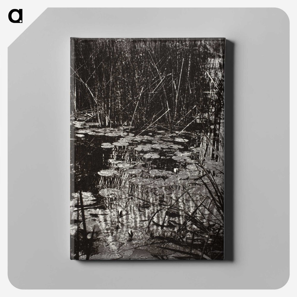 1-62_Eugene-Atget_canvas