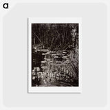アートポストカード-Nenuphars
 - ウジェーヌ アジェ Postcard.