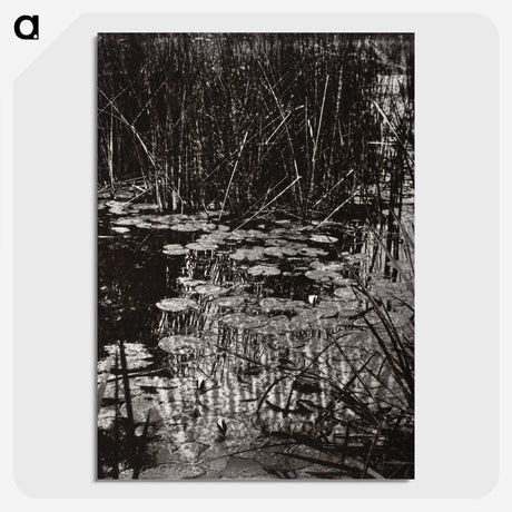 1-62_Eugene-Atget_picture-crop