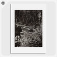 1-62_Eugene-Atget_picture
