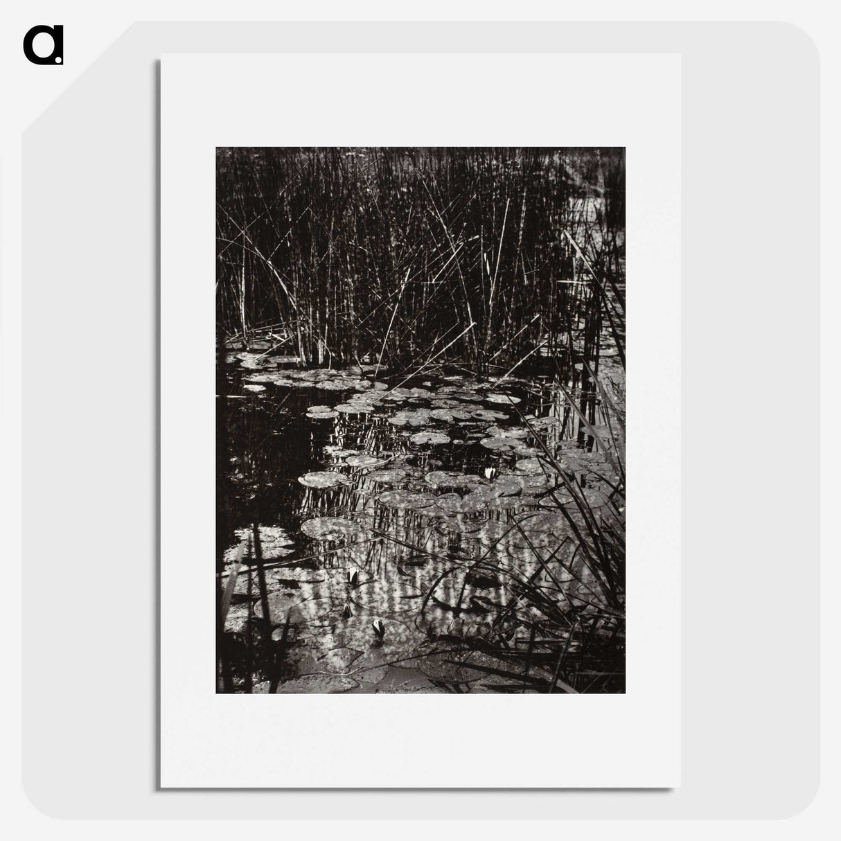 1-62_Eugene-Atget_picture