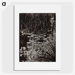 1-62_Eugene-Atget_picture