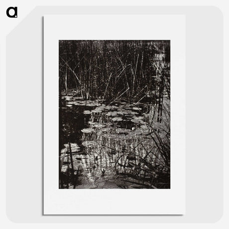 1-62_Eugene-Atget_picture