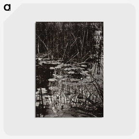 1-62_Eugene-Atget_postcard