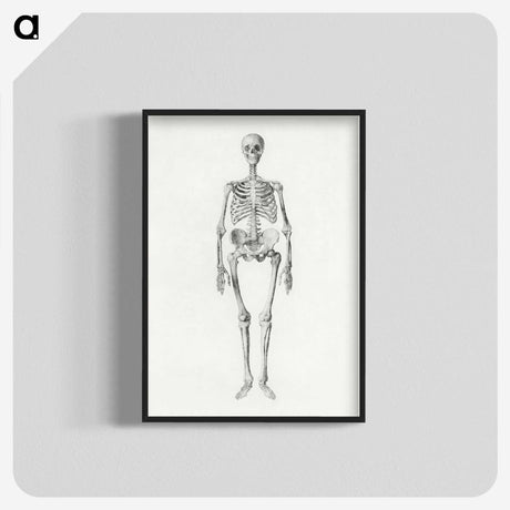 1-62_George-Stubbs_blk-crop