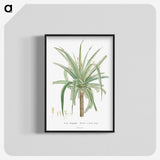 1-62_Histoire-des-Plantes-Grasses_blk-crop