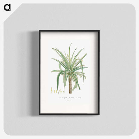 1-62_Histoire-des-Plantes-Grasses_blk