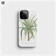 1-62_Histoire-des-Plantes-Grasses_phone