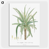 1-62_Histoire-des-Plantes-Grasses_picture-crop