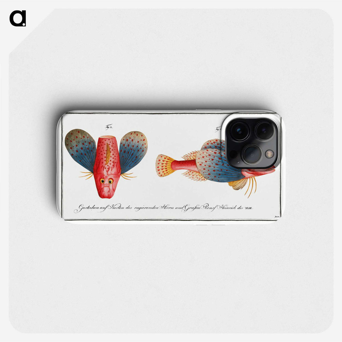 1-62_Ichtyologie-ou-Histoire-naturelle_phone