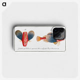1-62_Ichtyologie-ou-Histoire-naturelle_phone