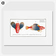 1-62_Ichtyologie-ou-Histoire-naturelle_picture