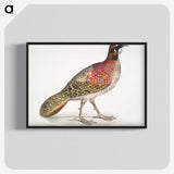 1-62_Indian-Zoology_blk-crop