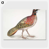 1-62_Indian-Zoology_picture-crop