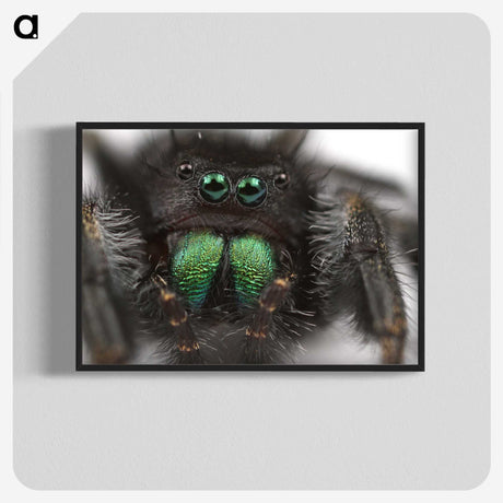 1-62_Insects-Unlocked-Project_blk-crop