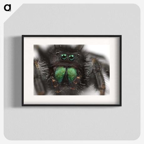 1-62_Insects-Unlocked-Project_blk