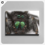 1-62_Insects-Unlocked-Project_canvas
