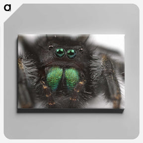 1-62_Insects-Unlocked-Project_canvas