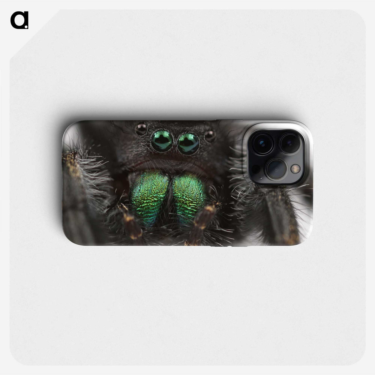 1-62_Insects-Unlocked-Project_phone