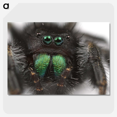 1-62_Insects-Unlocked-Project_picture-crop