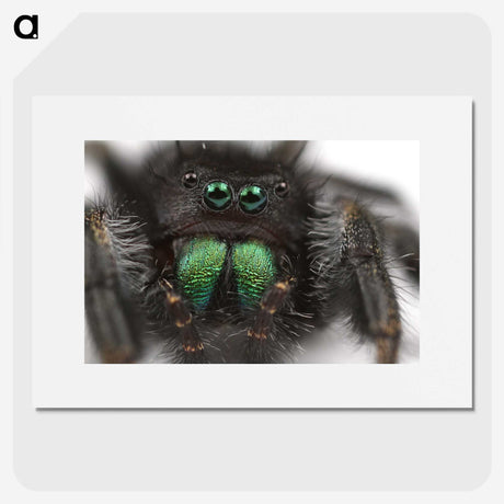 1-62_Insects-Unlocked-Project_picture