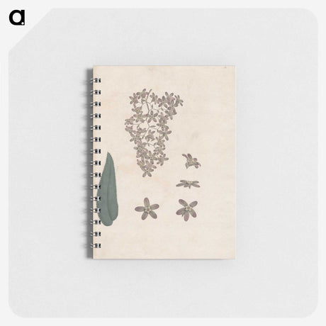 1-62_James-Heath_memo