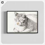 1-62_Jean-Bernard_blk-crop