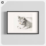 Sketch of a cat - ジャン ベルナール Poster.