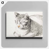 アートパネル-Sketch of a cat - ジャン ベルナール Canvas.