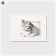 アートポストカード-Sketch of a cat - ジャン ベルナール Postcard.