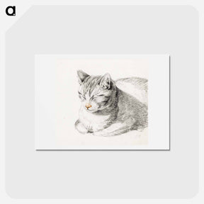 アートポストカード-Sketch of a cat - ジャン ベルナール Postcard.