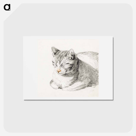 アートポストカード-Sketch of a cat - ジャン ベルナール Postcard.