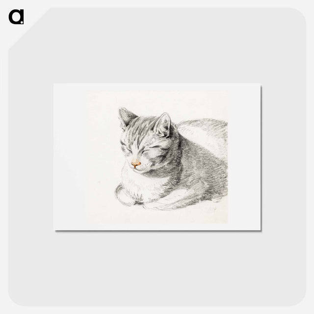 アートポストカード-Sketch of a cat - ジャン ベルナール Postcard.