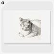 1-62_Jean-Bernard_picture