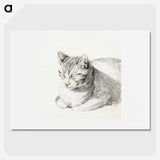1-62_Jean-Bernard_picture