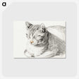1-62_Jean-Bernard_postcard