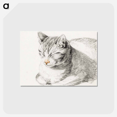アートポストカード-Sketch of a cat - ジャン ベルナール Postcard.