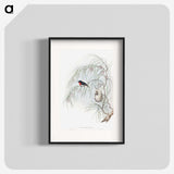 1-62_John-Gould_blk