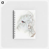 1-62_John-Gould_memo