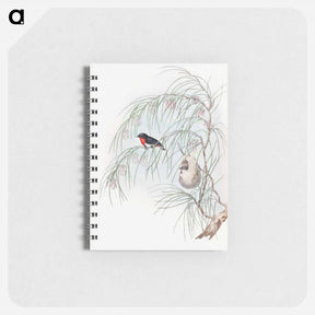 アートメモ帳-Swallow Diaeum
 - ジョン グールド Memo.