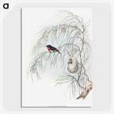 1-62_John-Gould_picture-crop