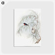 1-62_John-Gould_postcard
