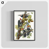 1-62_John-James-Audubon_blk-crop