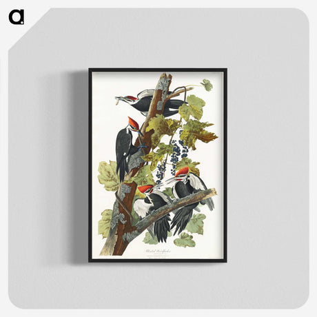 1-62_John-James-Audubon_blk-crop