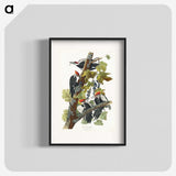 1-62_John-James-Audubon_blk
