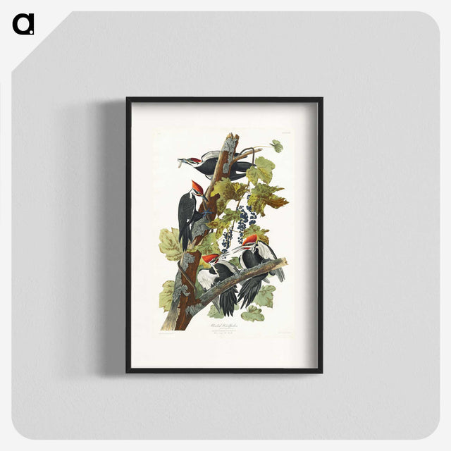 1-62_John-James-Audubon_blk