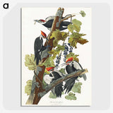 1-62_John-James-Audubon_picture-crop