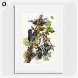1-62_John-James-Audubon_picture