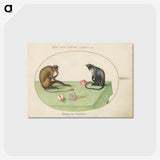 1-62_Joris-Hoefnagel_postcard